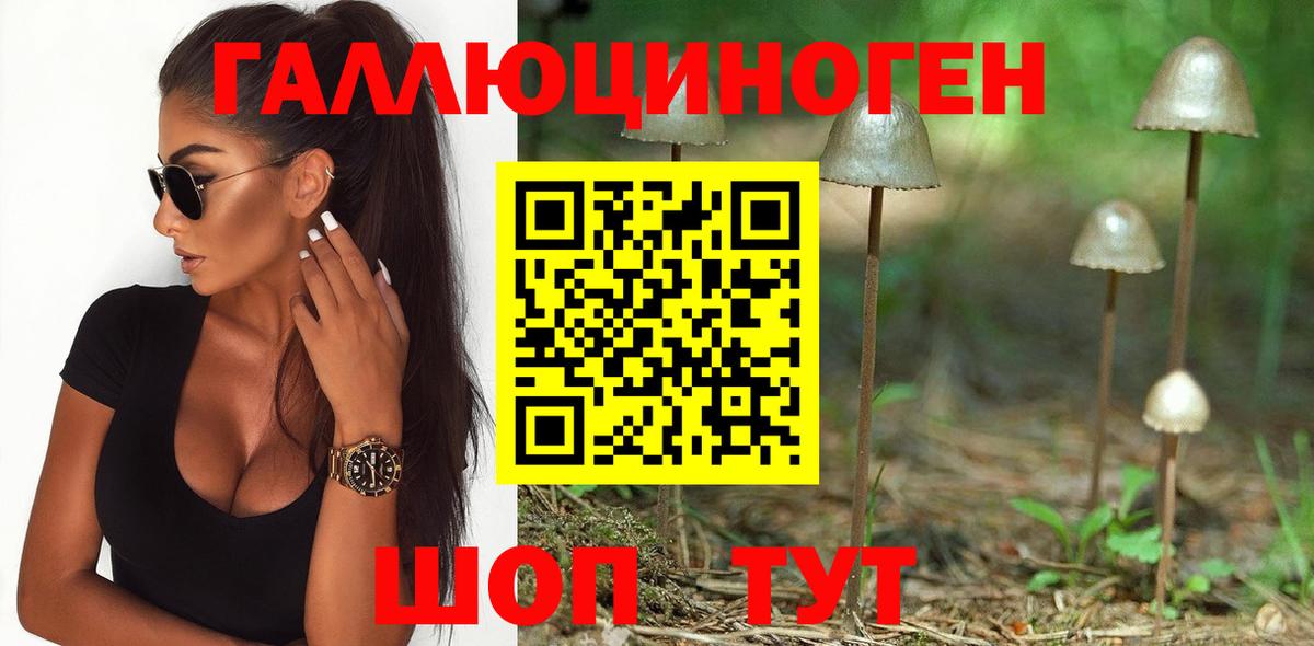 Новотроицк  Псилоцибиновые грибы ЛСД  Вход с VPN 