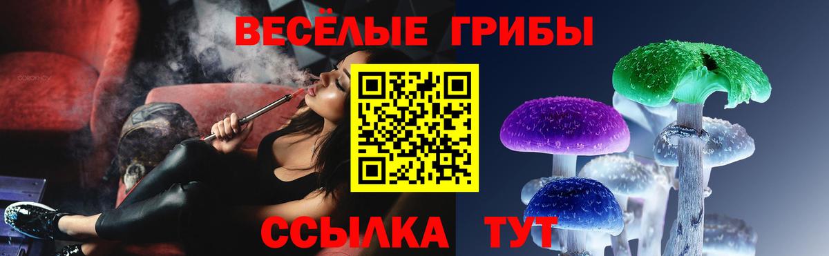 Псилоцибиновые грибы Magic Shrooms Новотроицк